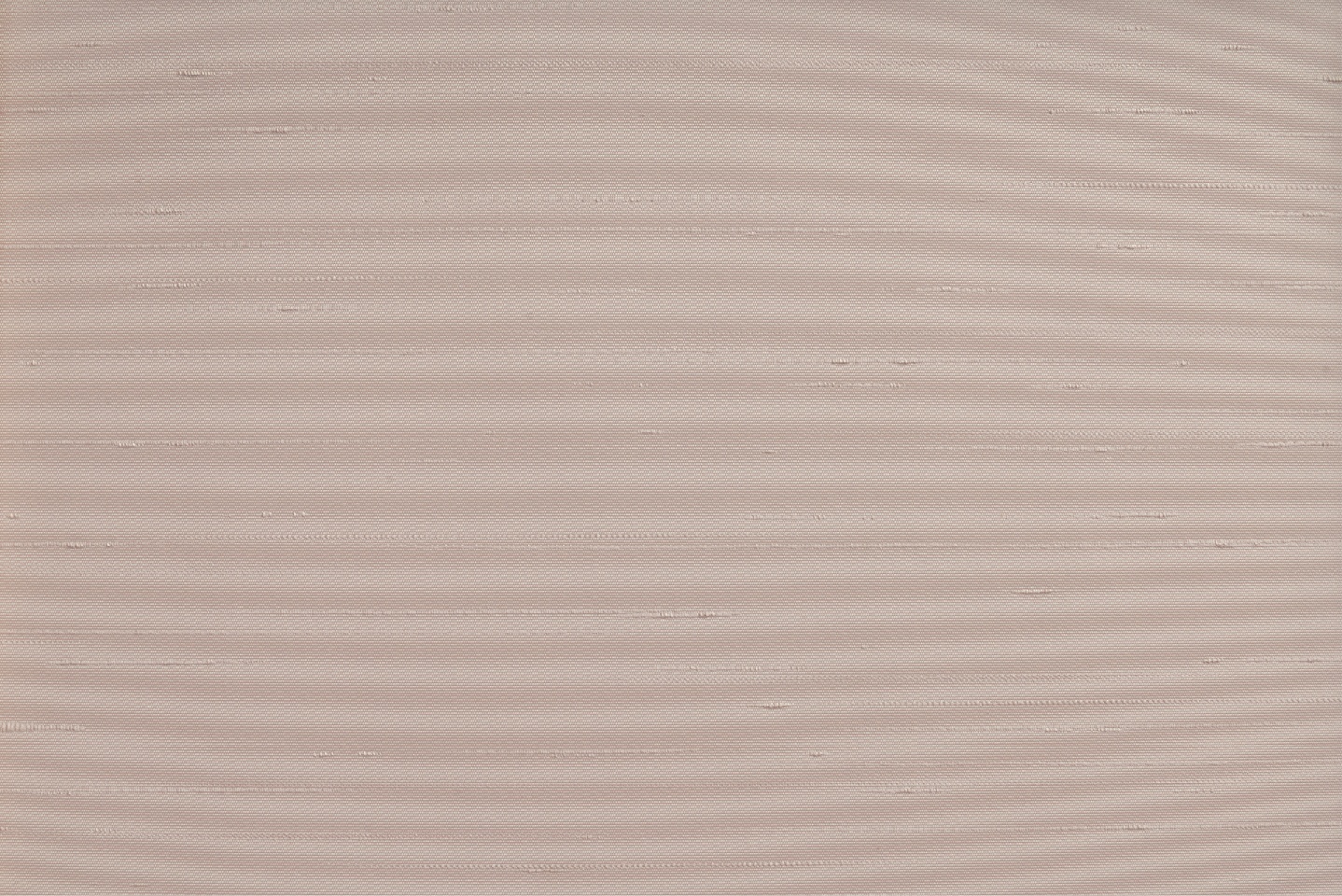 BISCOTTO