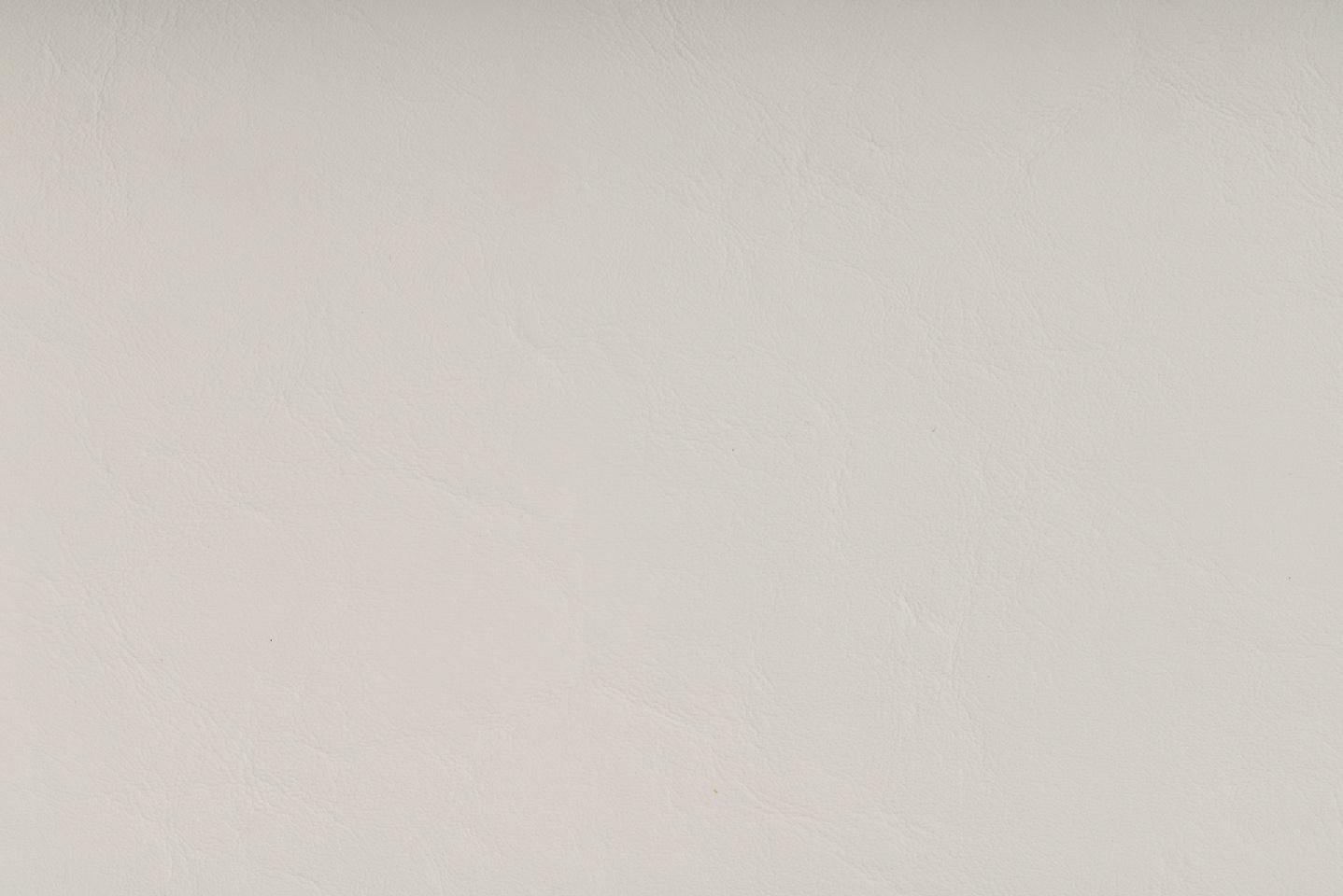 BRILLIANT WHITE