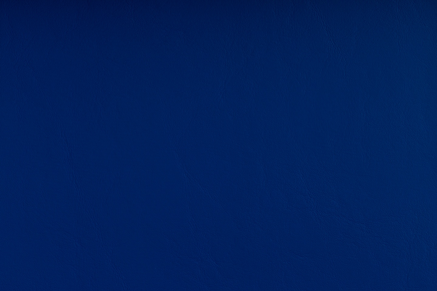 TRUE BLUE