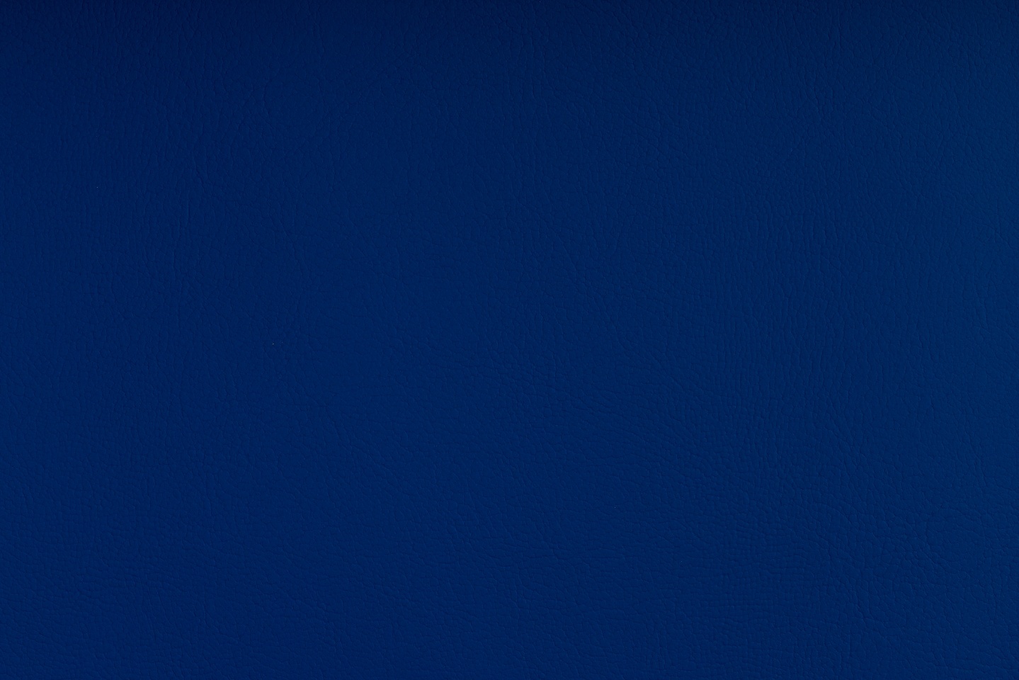 TRUE BLUE